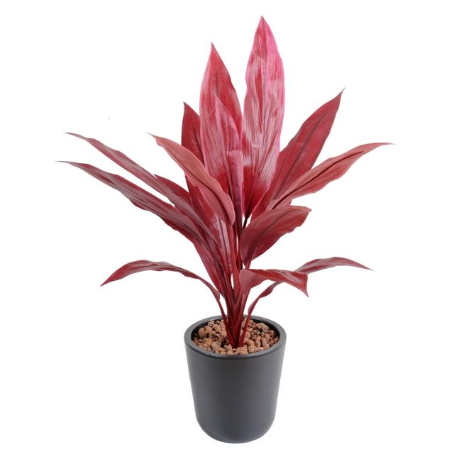 Dracaena Cordyline Artificiel en Piquet