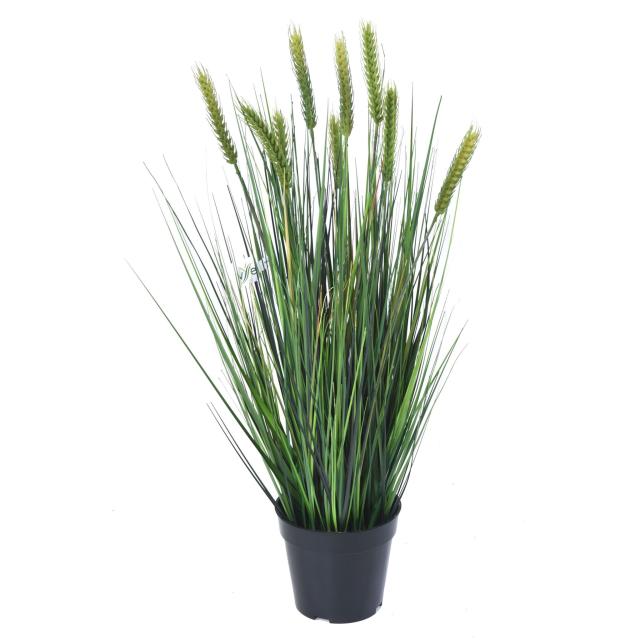 Blé Artificiel en Pot