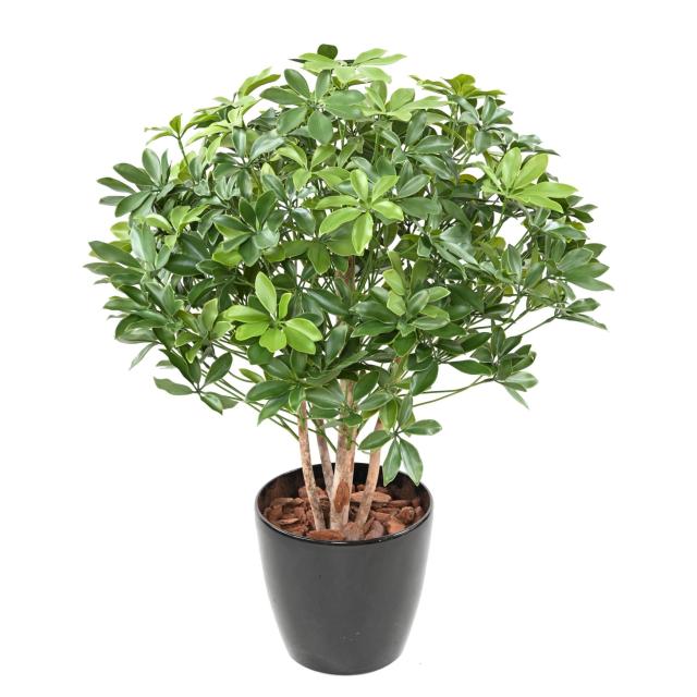 SCHEFFLERA Artificiel BUISSON PLAST UV