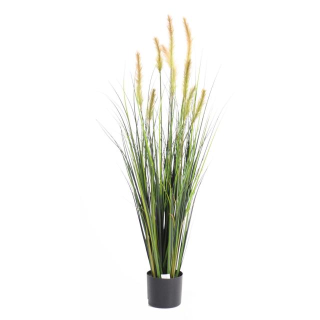 Foxtail artificiel GF