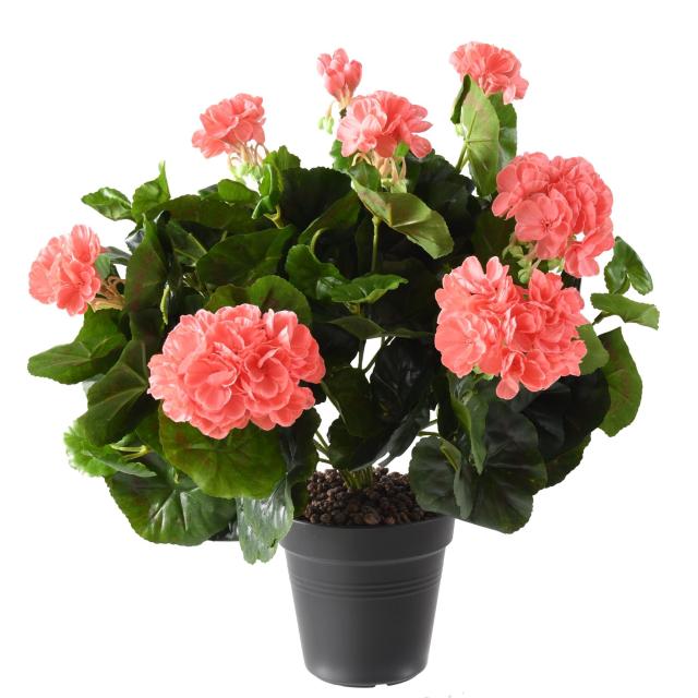 Geranium artificiel*115