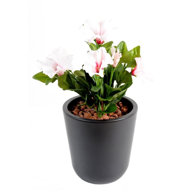 Petunia artificiel *7