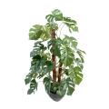Philodendron artificiel TUTEUR COCO