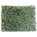 CHARME PALISSADE Grandes Feuilles