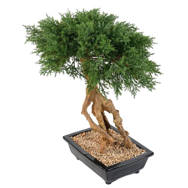 BONSAI JUNIPERUS ARTIFICIEL EN COUPE