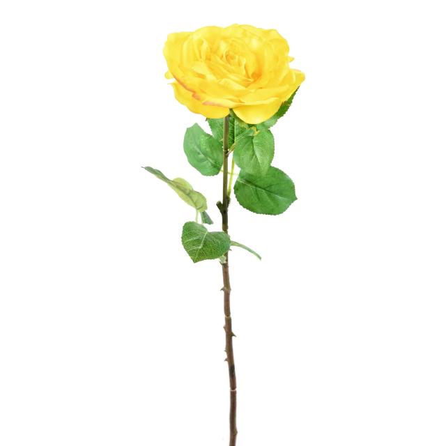 ROSE 66 Artificielle