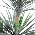 Yucca artificiel ROSTRATA