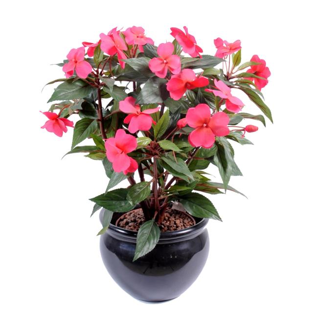 Impatiens artificielle PIQUET