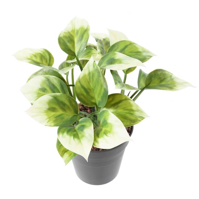 Mini Philo Artificiel Bush en Piquet