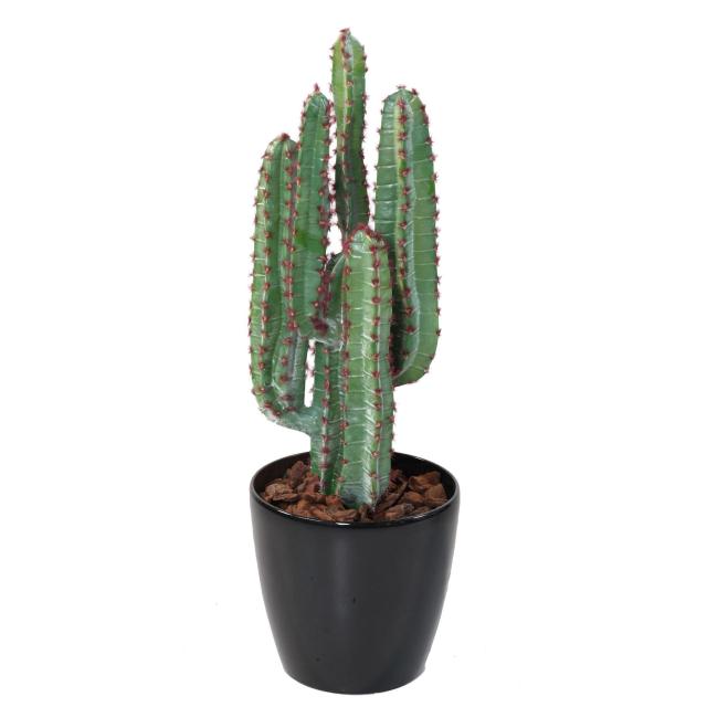 Cactus Artificiel Désert