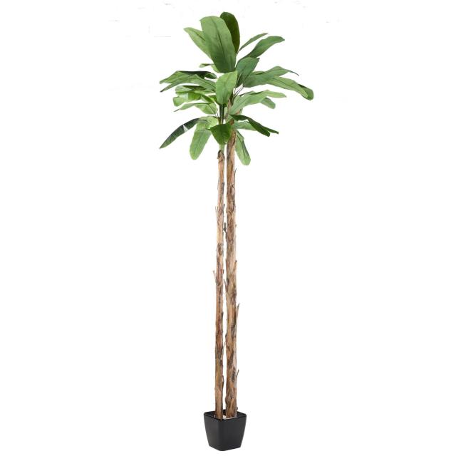 Bananier Artificiel Geant 2 Troncs