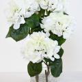 BOUQUET HORTENSIA BLANC