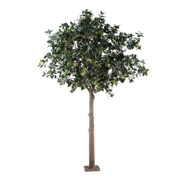Fruitier artificiel PLATINE (camelia japonica tree)