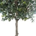 Fruitier artificiel PLATINE (camelia japonica tree)