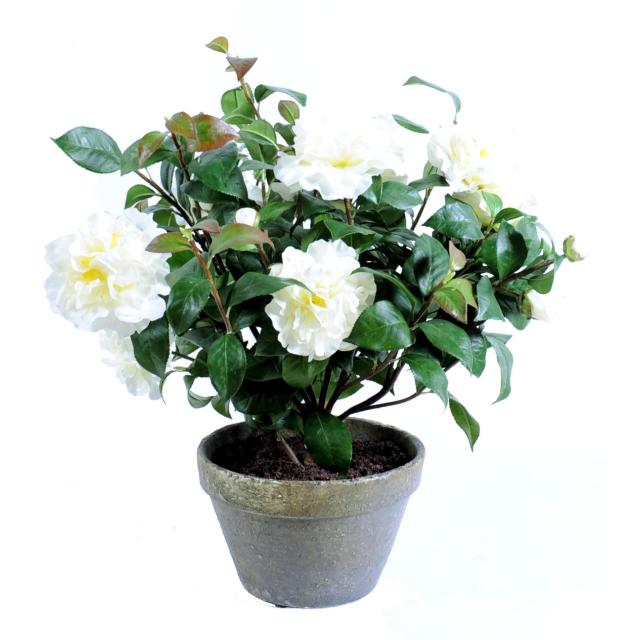 Camelia Artificiel en Pot de Terre