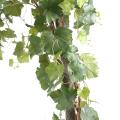Vigne artificielle ROUND