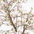 MAGNOLIA Artificiel FLEUR TULIPIER DU JAPON