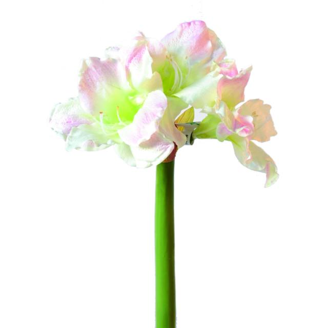 Amaryllis artificielle tige 3f