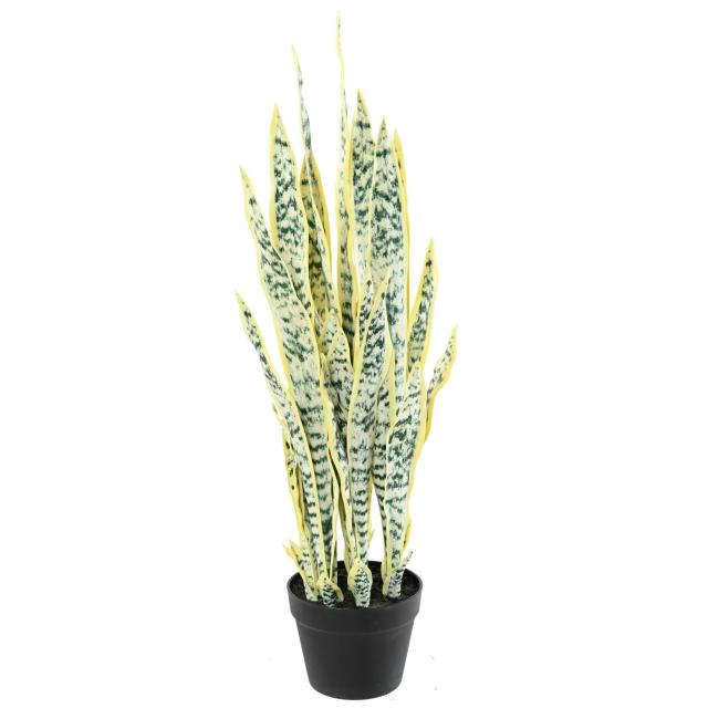 SANSEVIERIA Artificiel 85