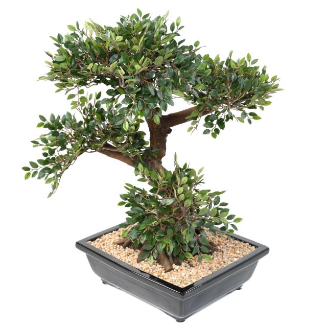 BONSAI ORME Artificiel EN COUPE gravier