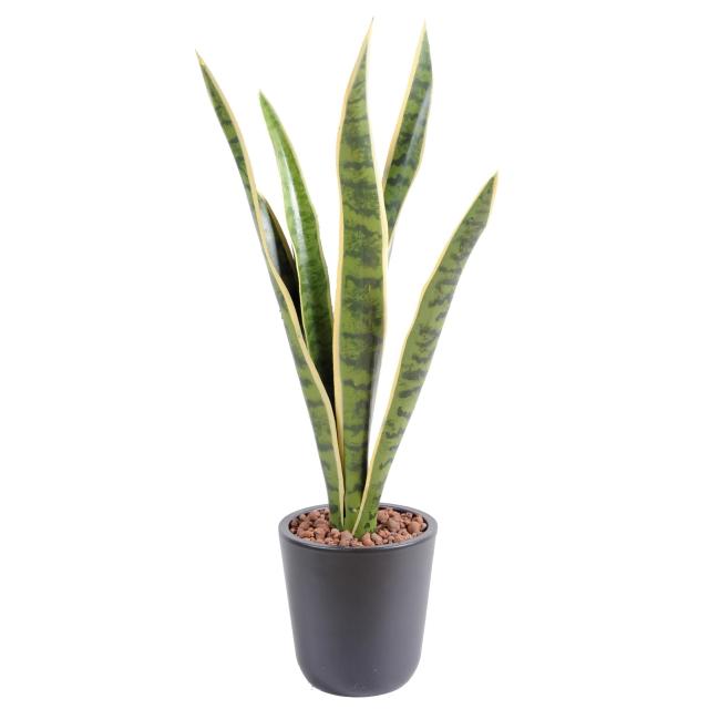 Sansevieria artificiel PIQUET MM