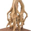 OLIVIER Artificiel ROOT