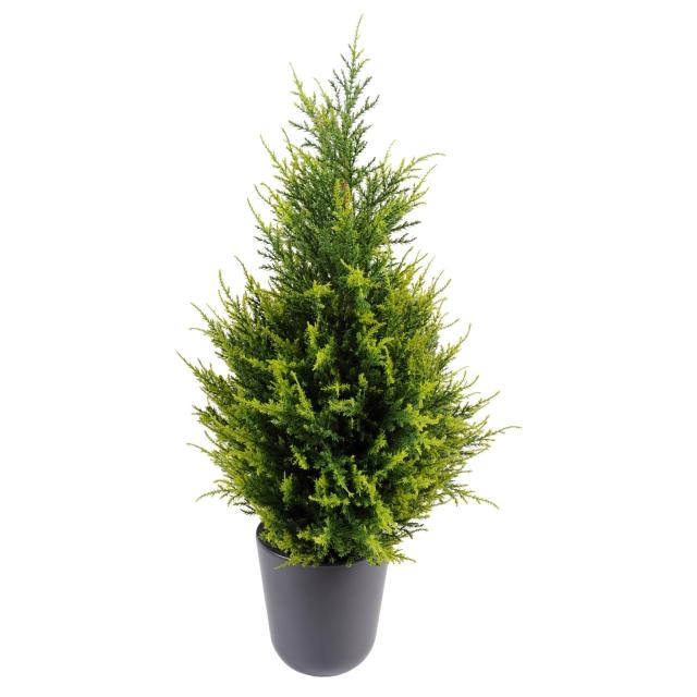 Cypres artificiel Juniperus
