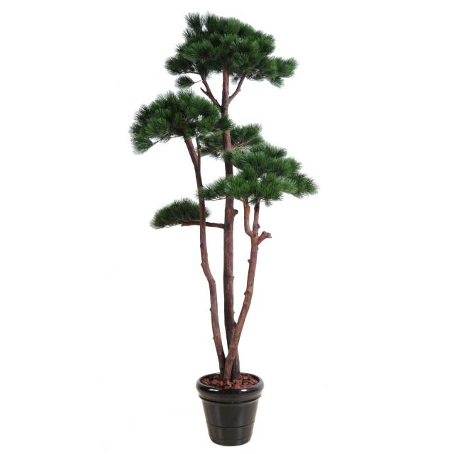 Pin Artificiel Multiple 250cm, 5 Branches