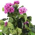 Geranium artificiel CHUTE*136