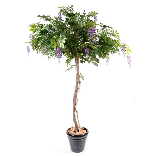 Glycine Artificielle Ronde 235cm