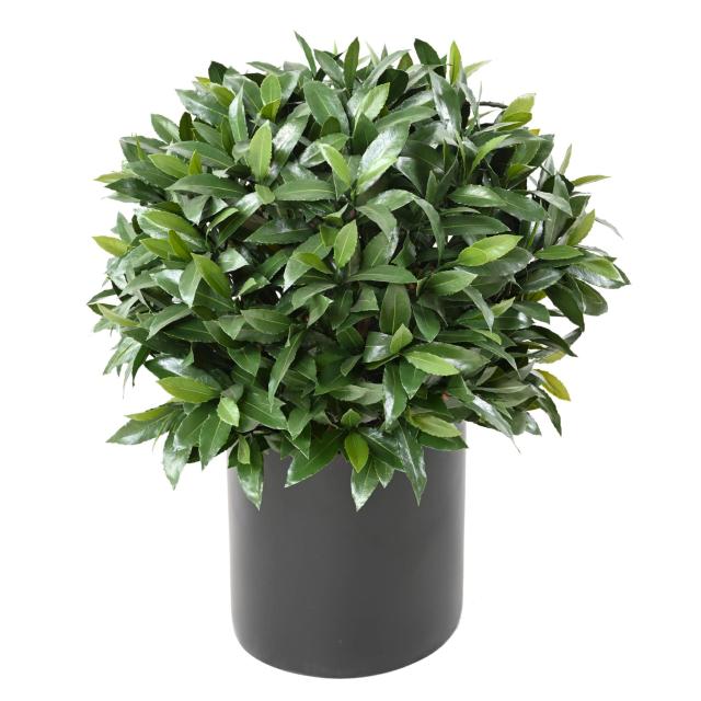 LAURIER NOBILIS Artificiel NEW BOULE UV
