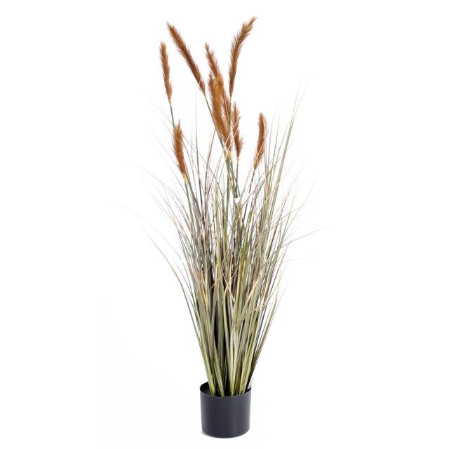Foxtail artificiel GF