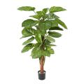 Pothos artificiel GEANT