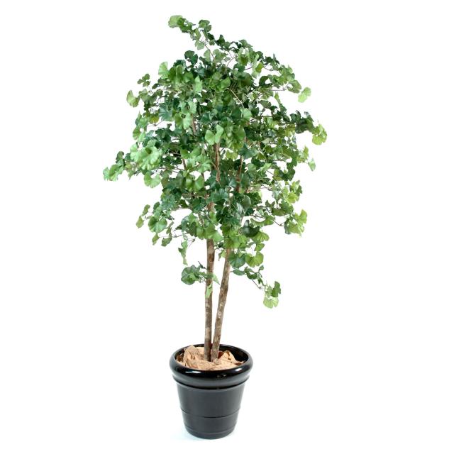 Ginkgobiloba artificiel