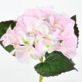 HORTENSIA artificiel TC