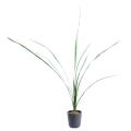 Feuille artificielle cymbidium