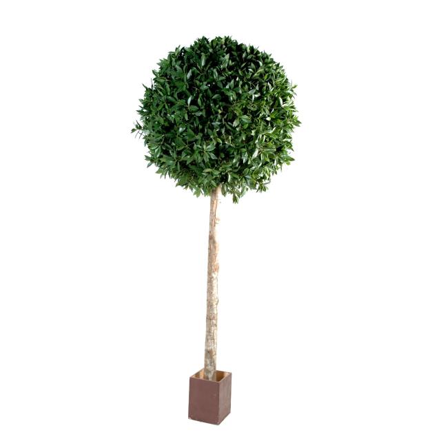 Laurier artificiel BOULE TIGE