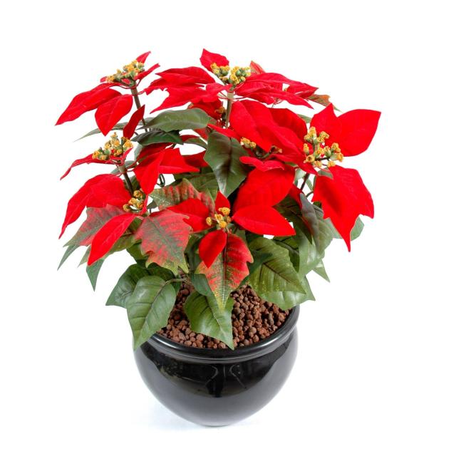 Poinsettia artificiel*9