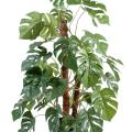 Philodendron artificiel TUTEUR COCO