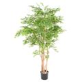ACACIA Artificiel