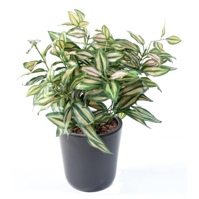 TRADESCANTIA artificiel ZEBRINA*8