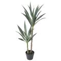 YUCCA Artificiel RAPIER