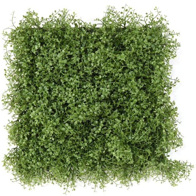 Feuillage Helixine Artificiel Plaque