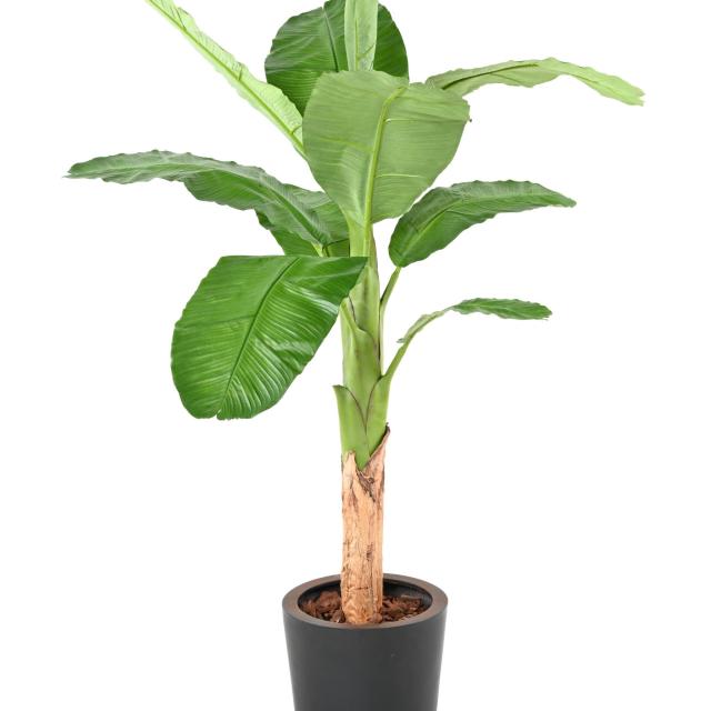 BANANIER Artificiel ROYAL