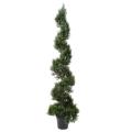 CYPRES artificiel MINI NEW SPIRALE LARGE