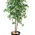 Ginkgobiloba artificiel