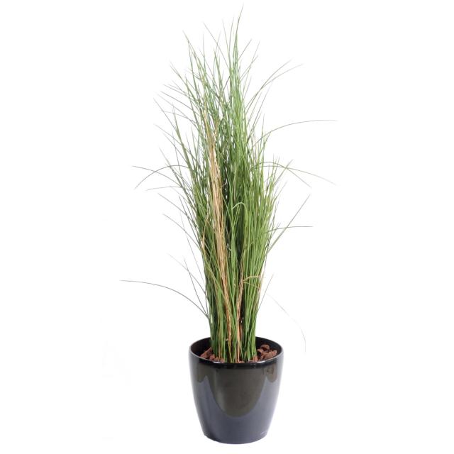 Herbe artificielle HONEY GRASS