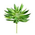 SUCCULENTE artificielle 16
