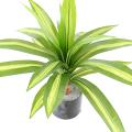 DRACAENA Artificiel LARGE