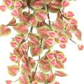 COLEUS Artificiel CHUTE 96 R